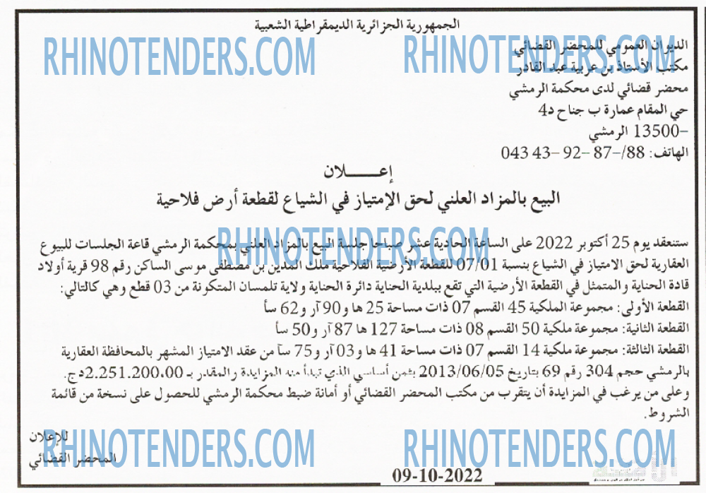 الأمة