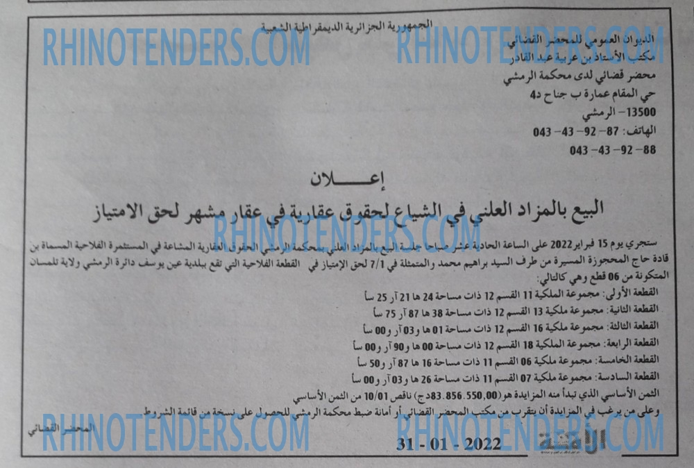 الأمة