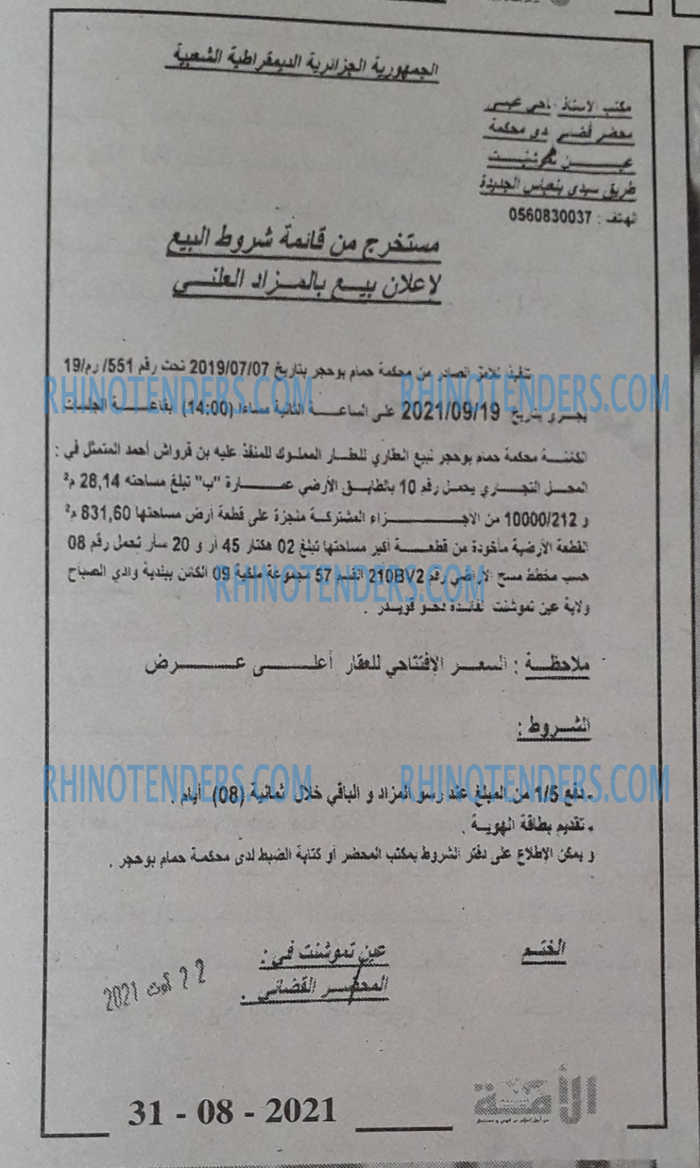 الأمة