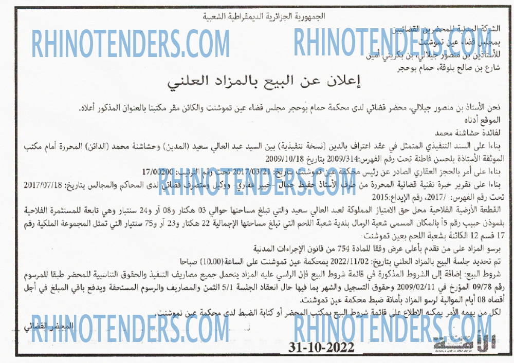 الأمة