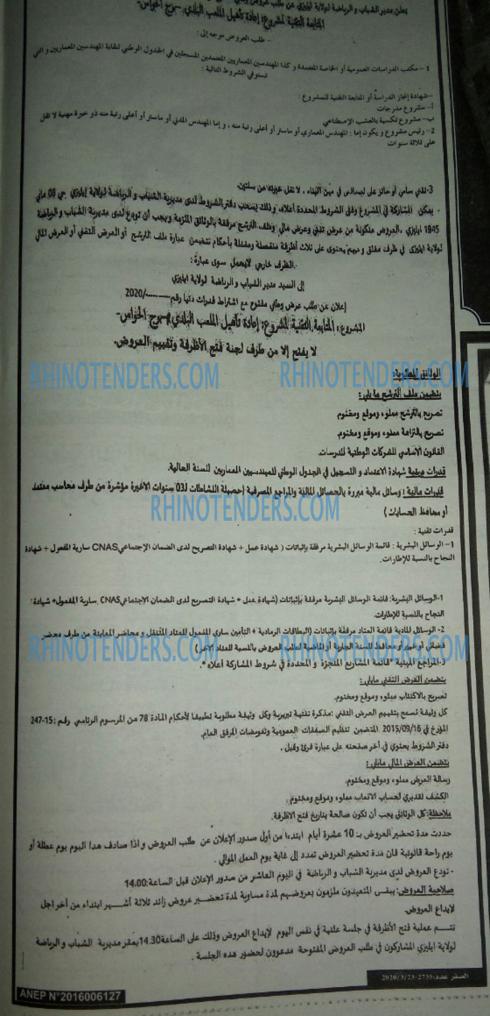الصقر