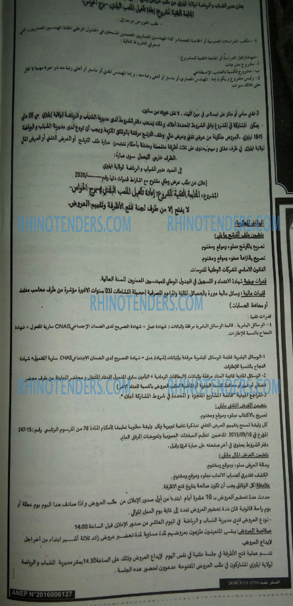 الصقر