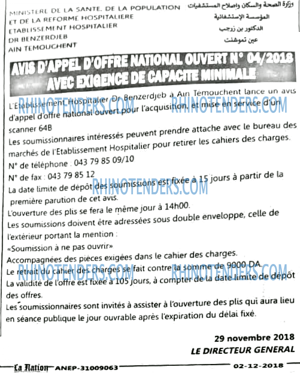 LA NATION ARABE