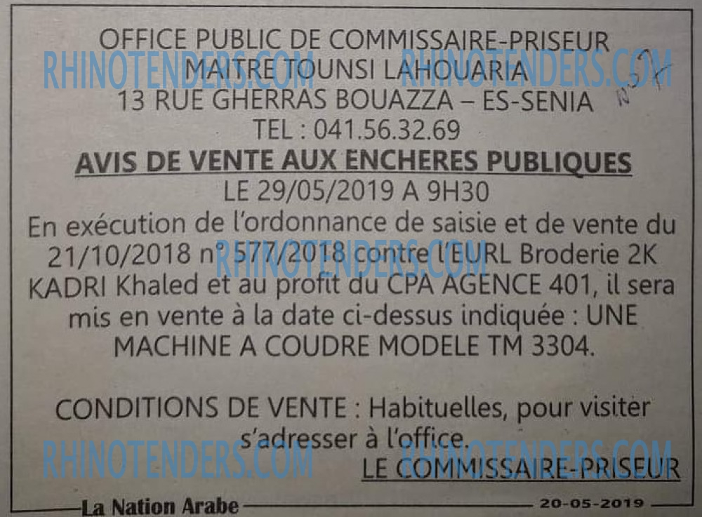 LA NATION ARABE