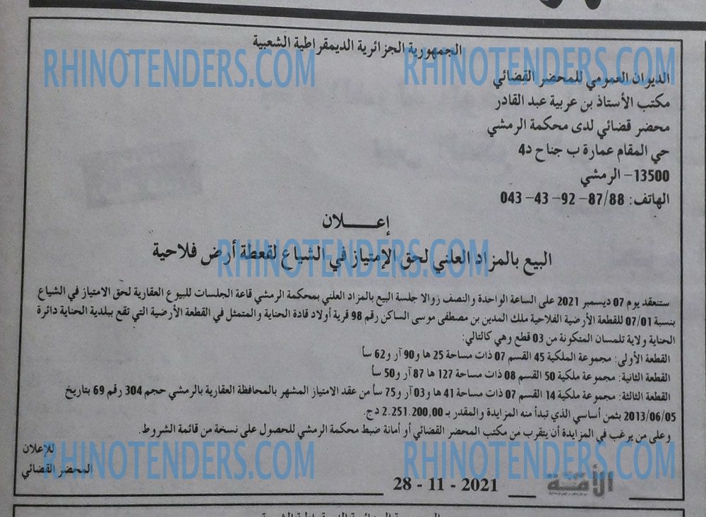 الأمة