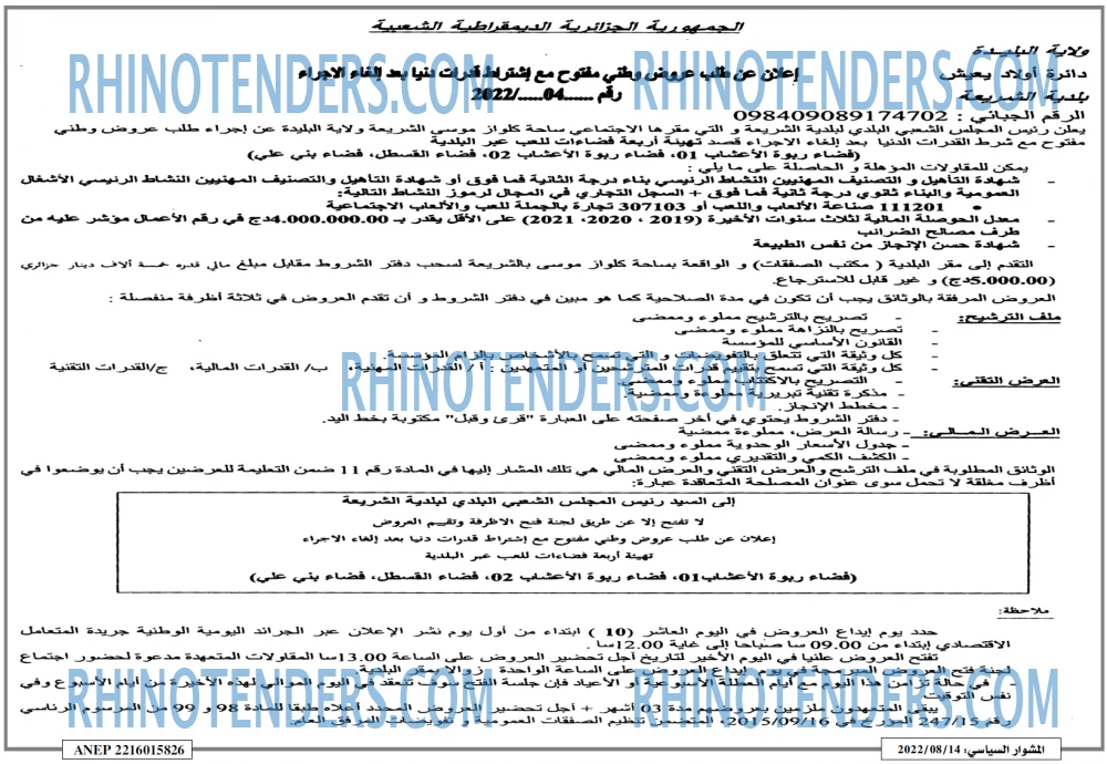 المشوار السياسي