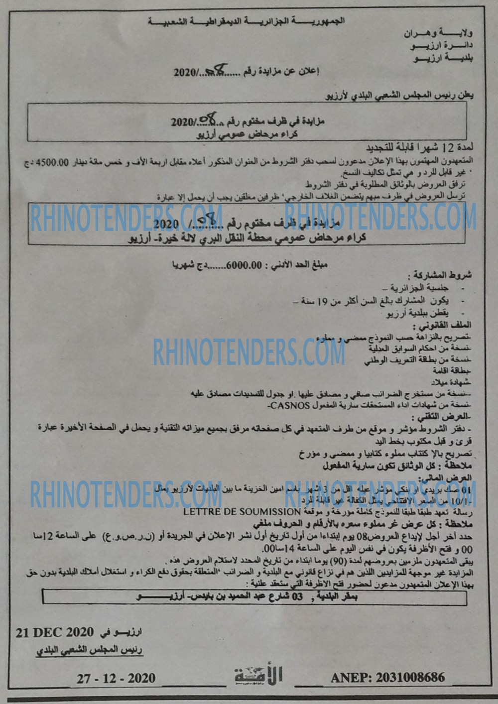 الأمة