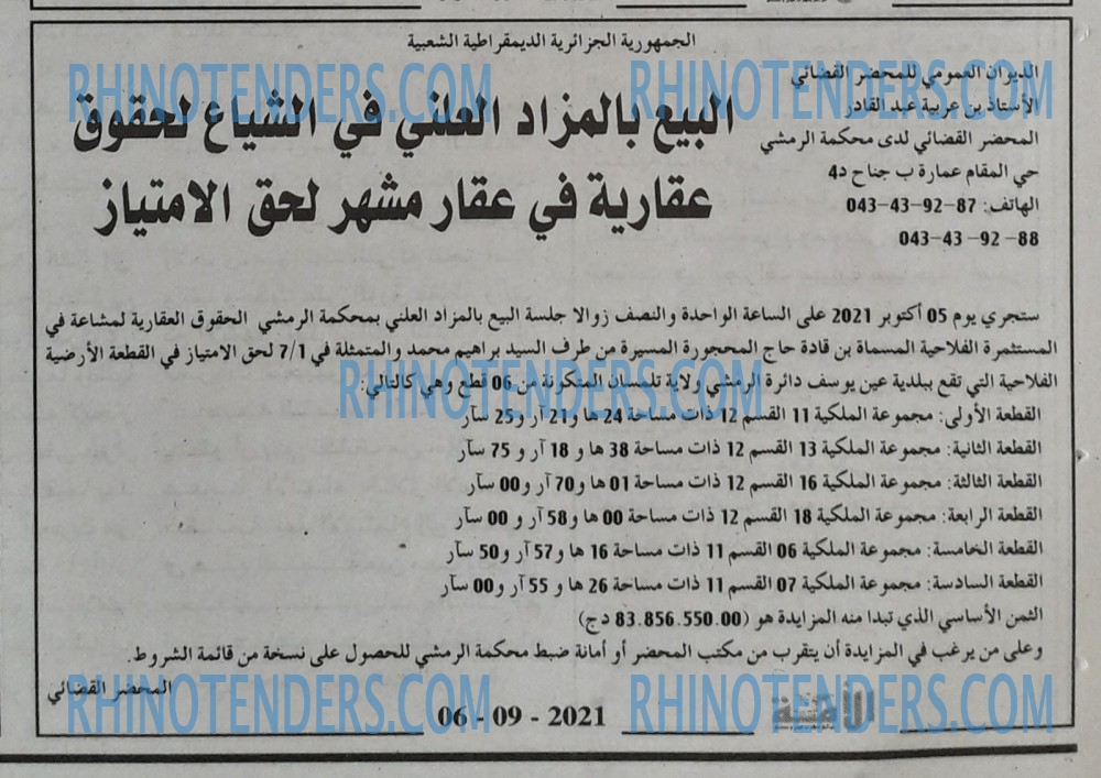 الأمة