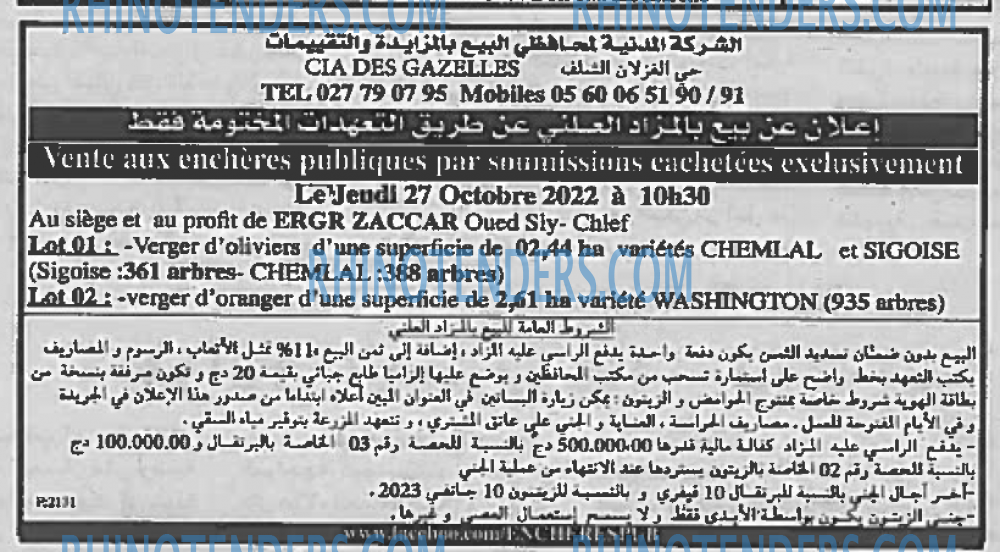EL KHABAR