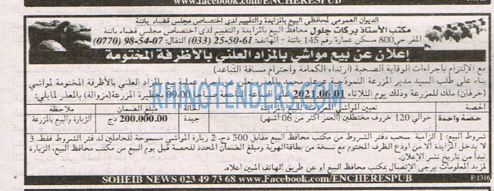 EL KHABAR