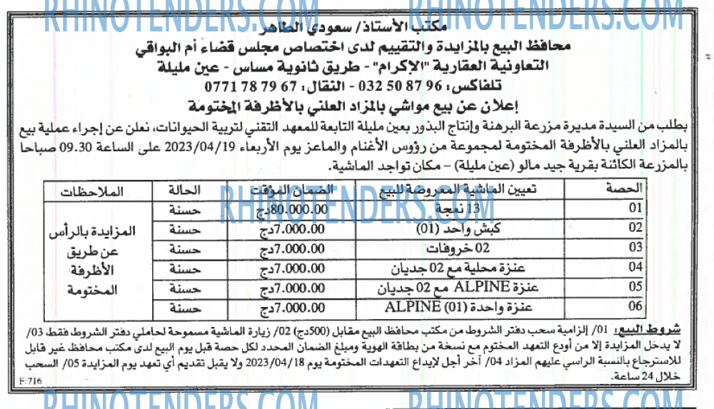 EL KHABAR