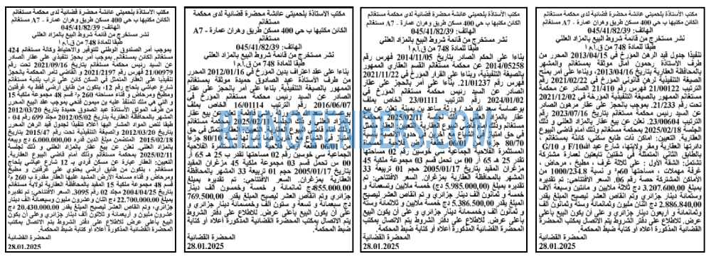المجتمع