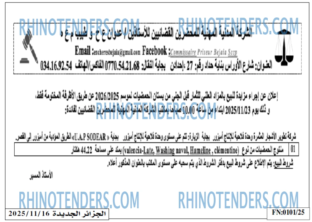 الجزائر الجديدة