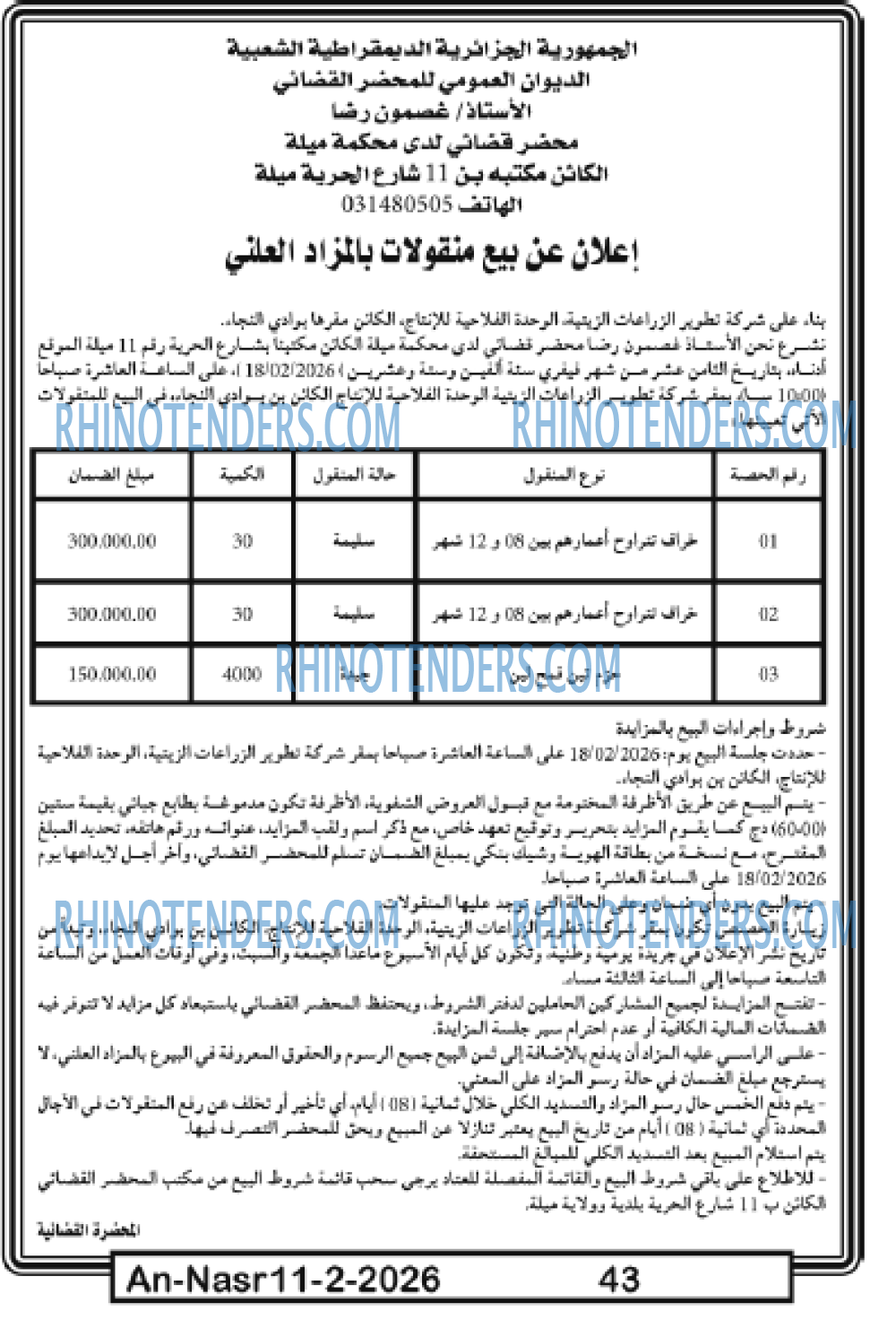 AN-NASR