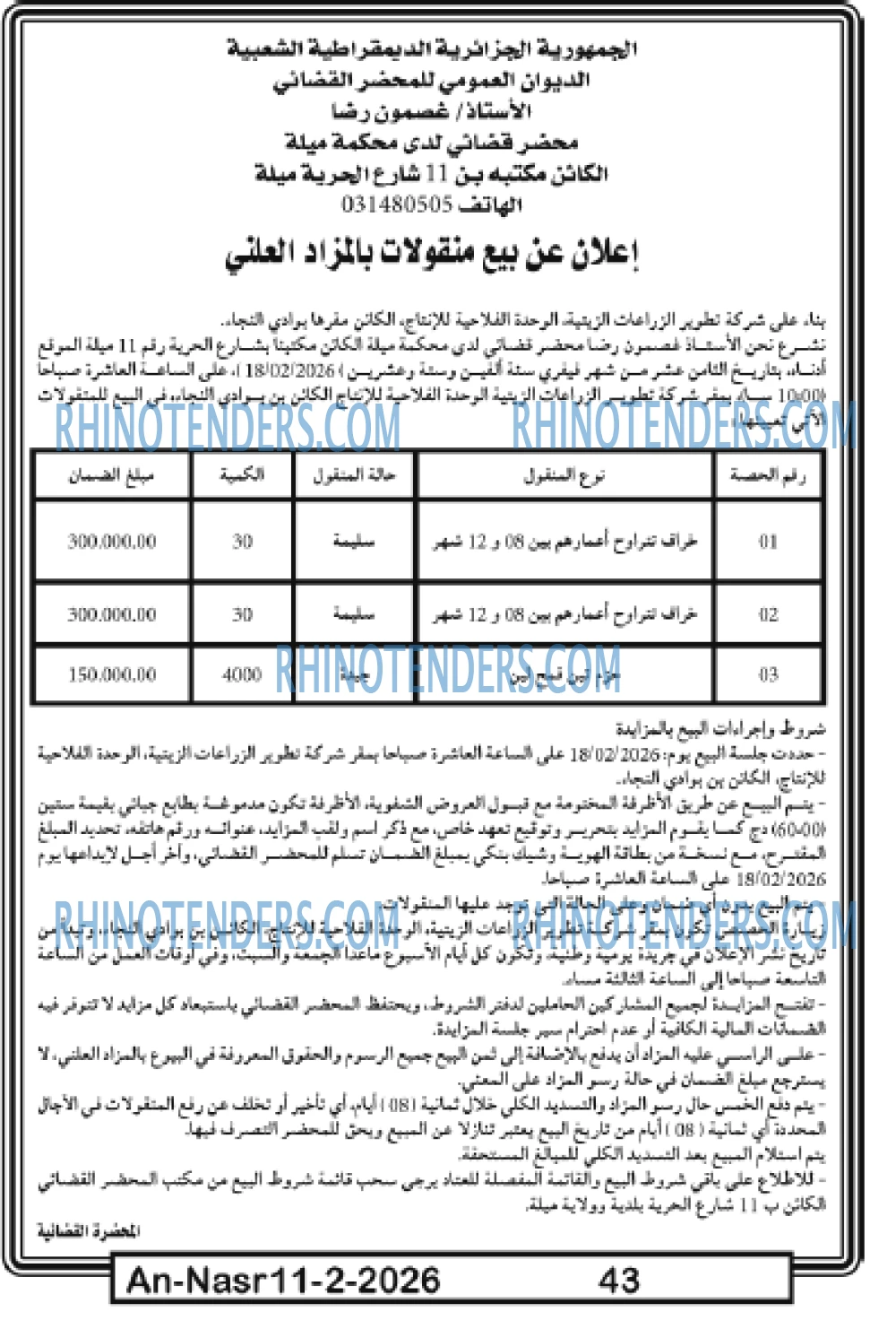 AN-NASR