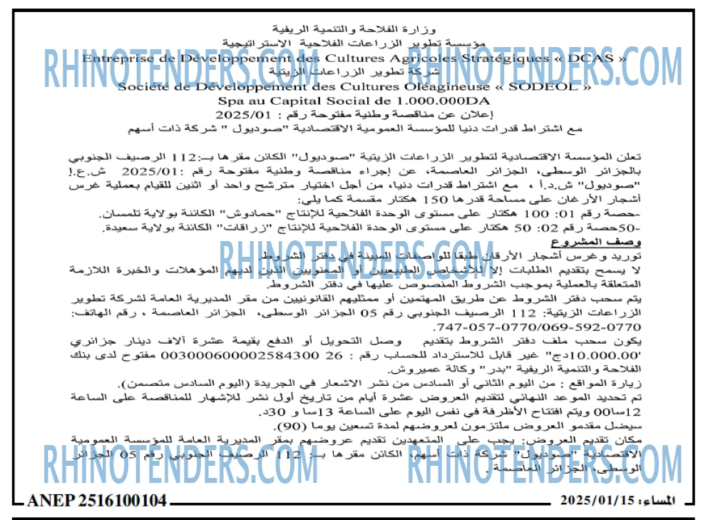 المساء