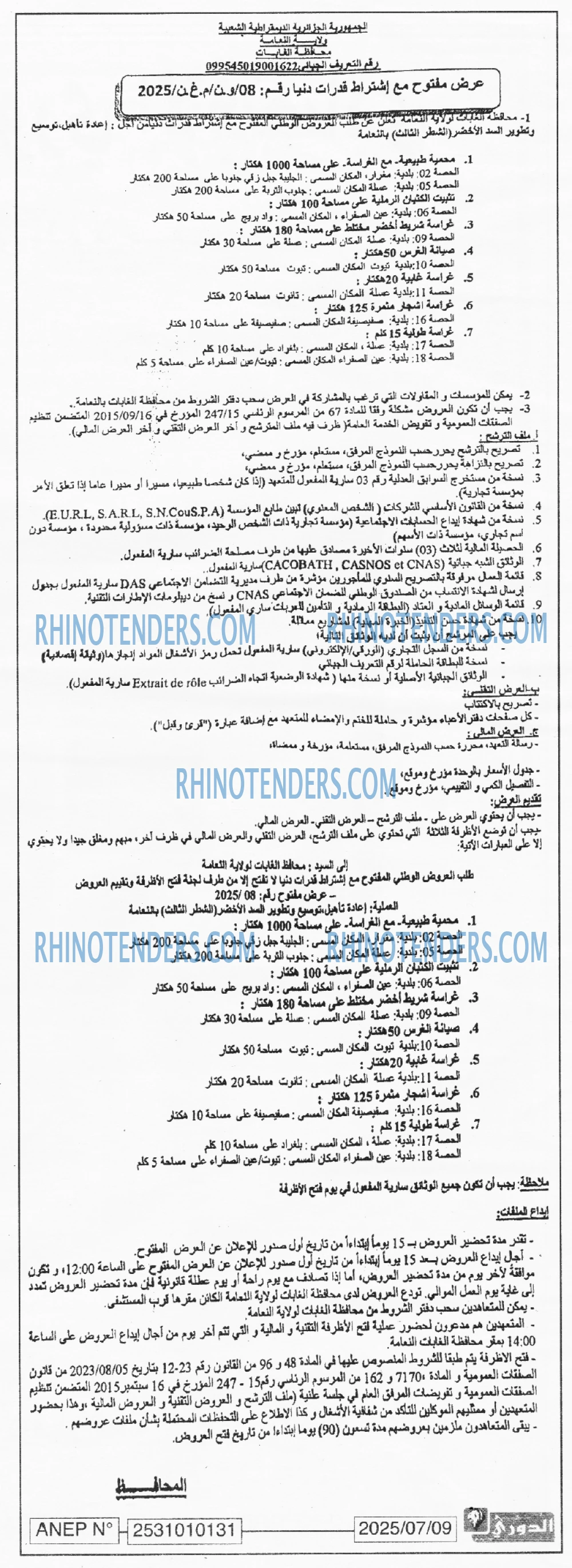 المحور اليومي