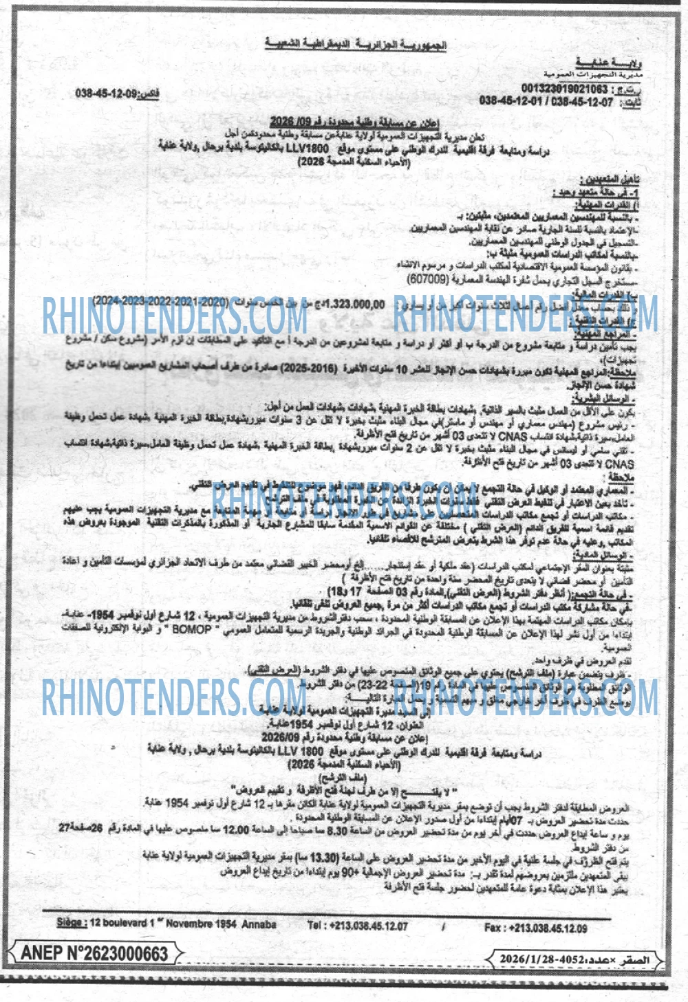 الصقر