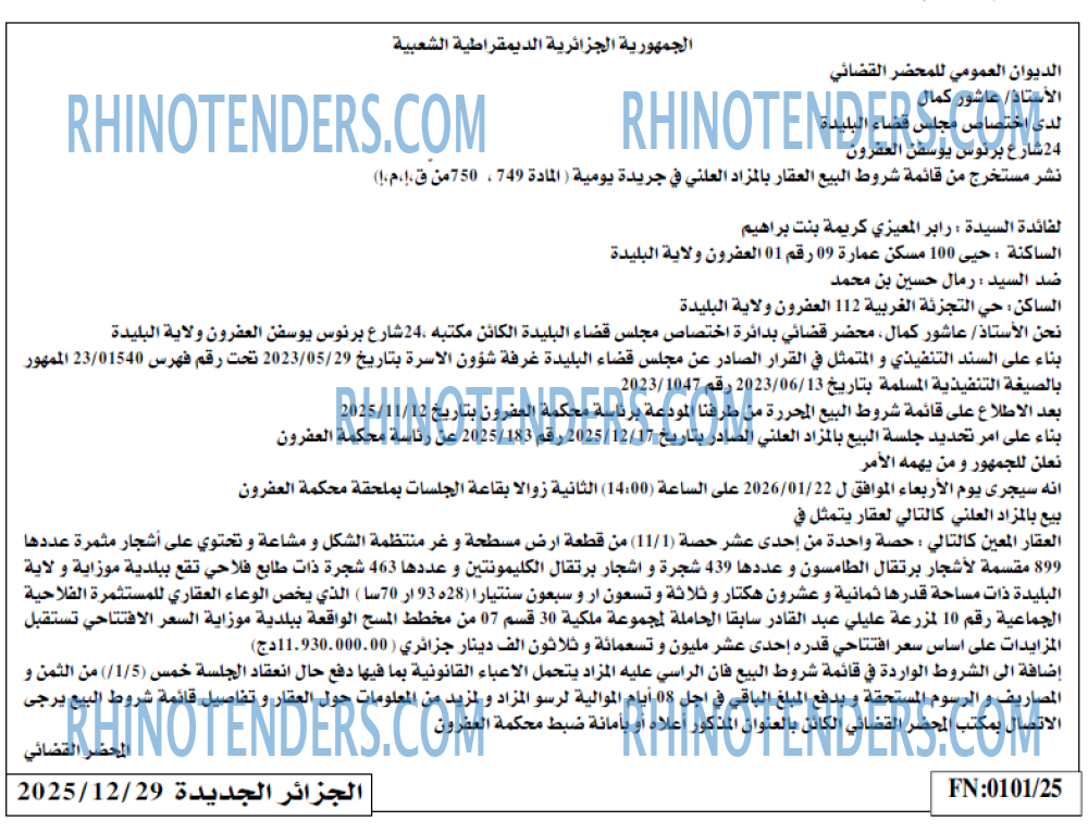 الجزائر الجديدة