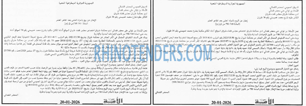 LA NATION ARABE