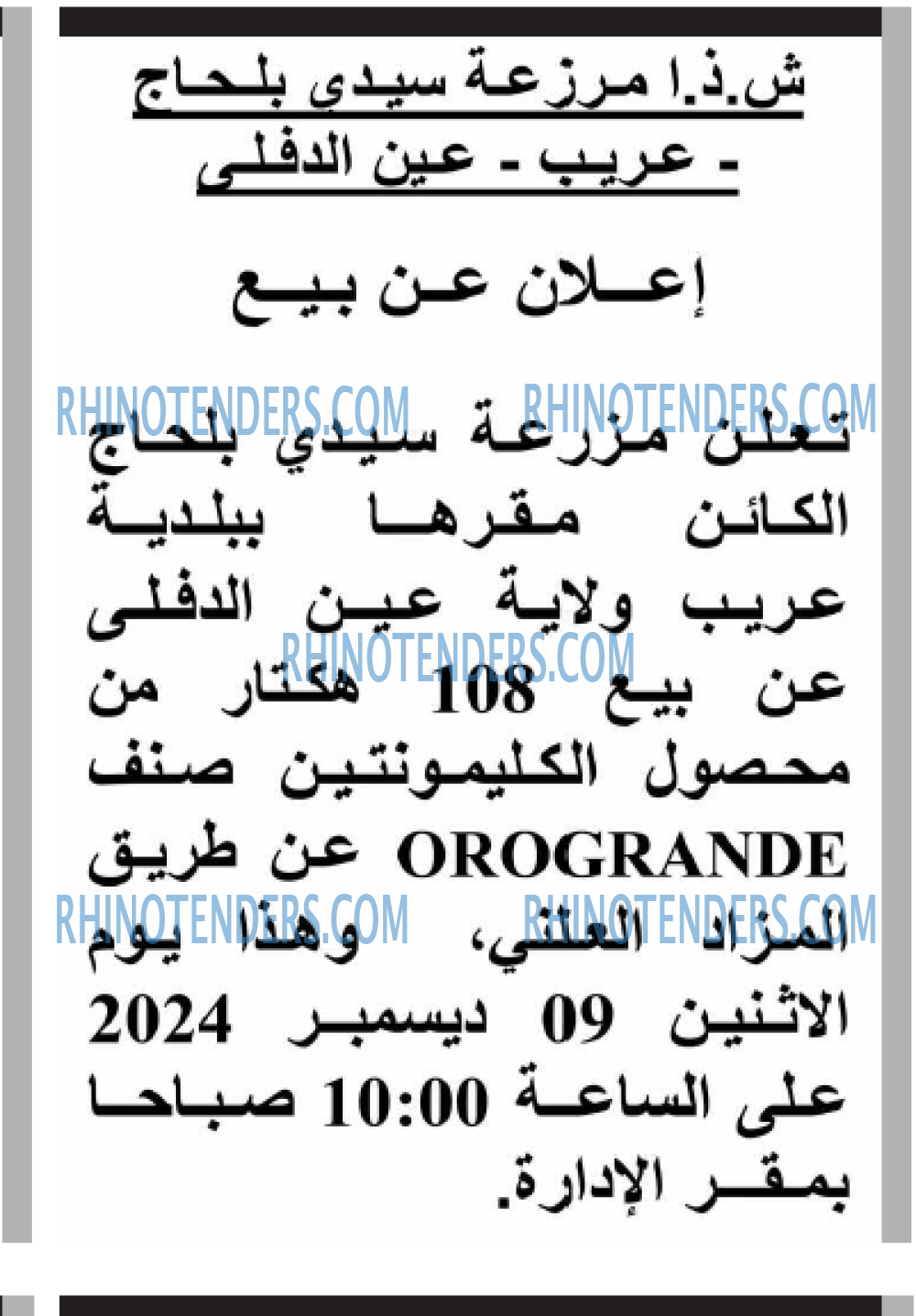 Echourouk