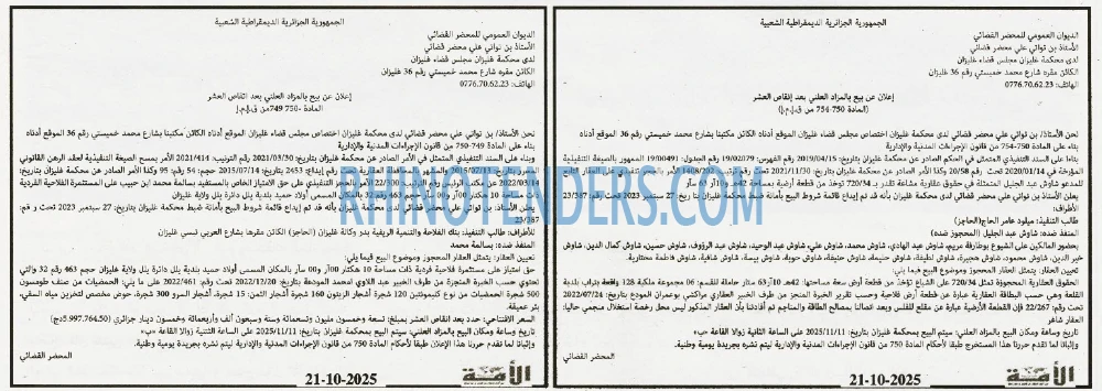 الأمة