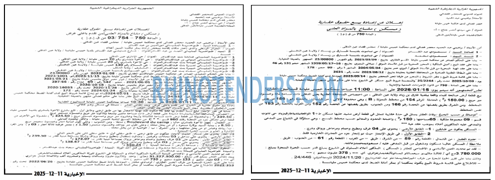 الاخبارية