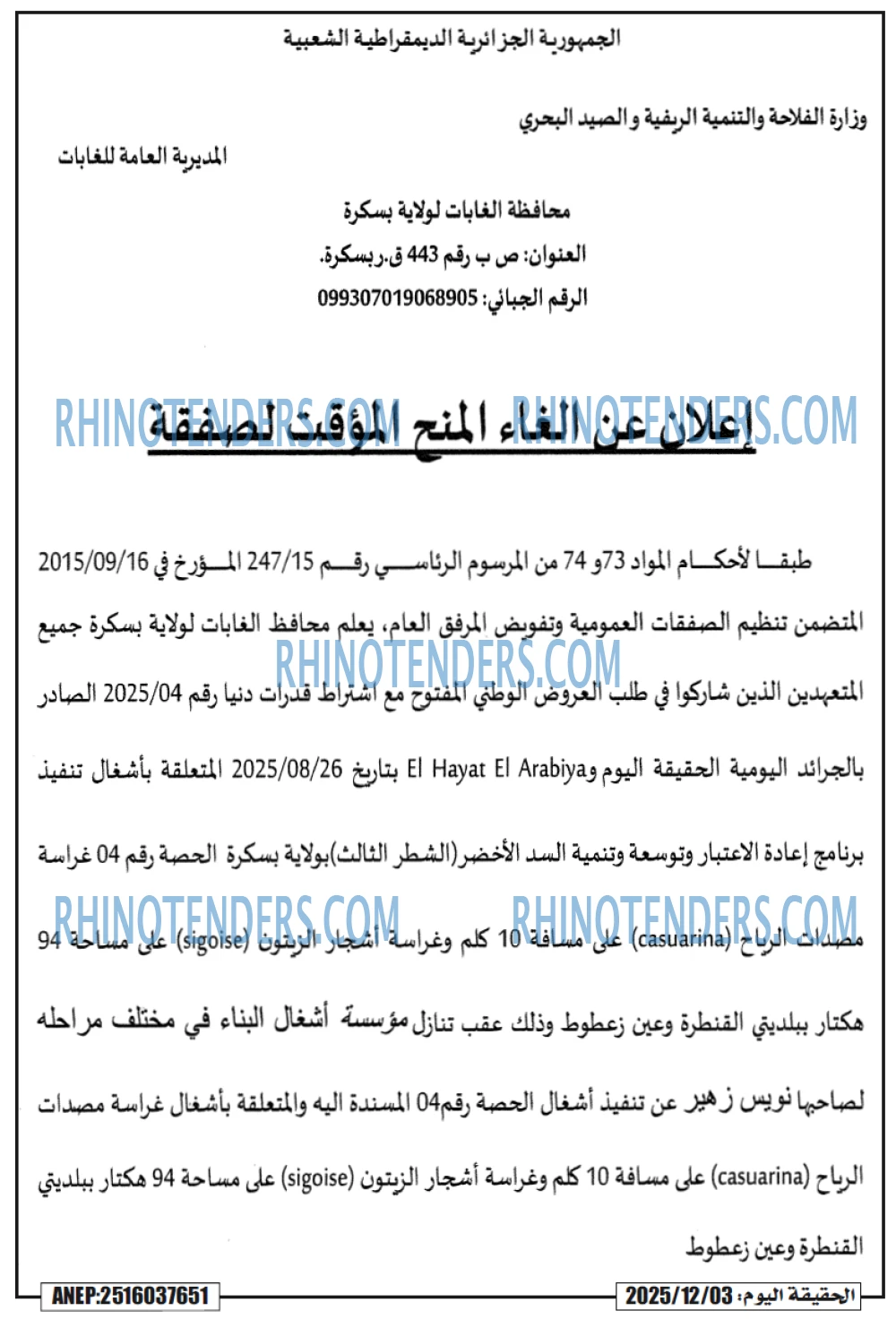 المحور اليومي