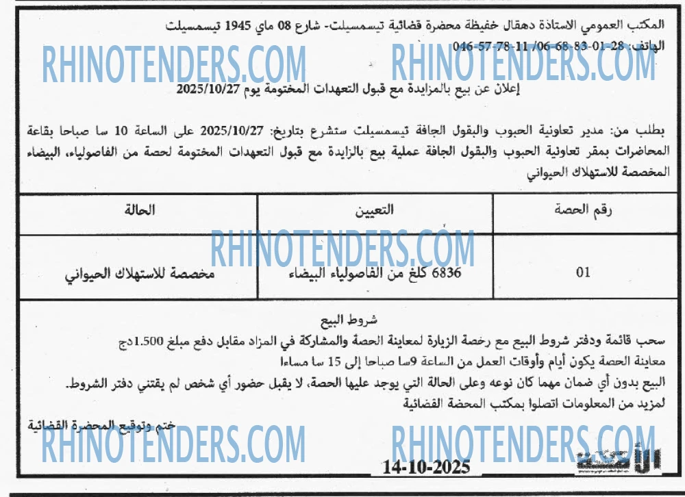 الأمة