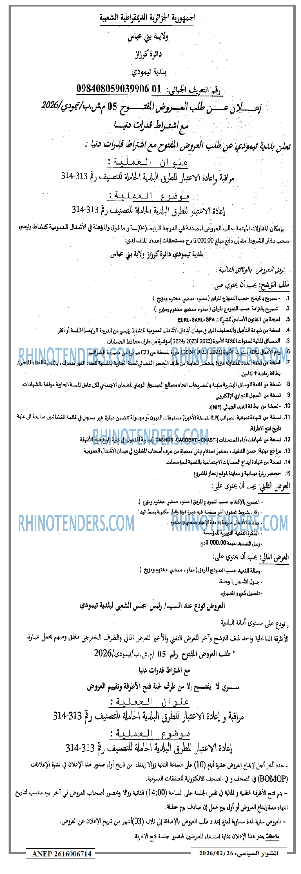 المشوار السياسي