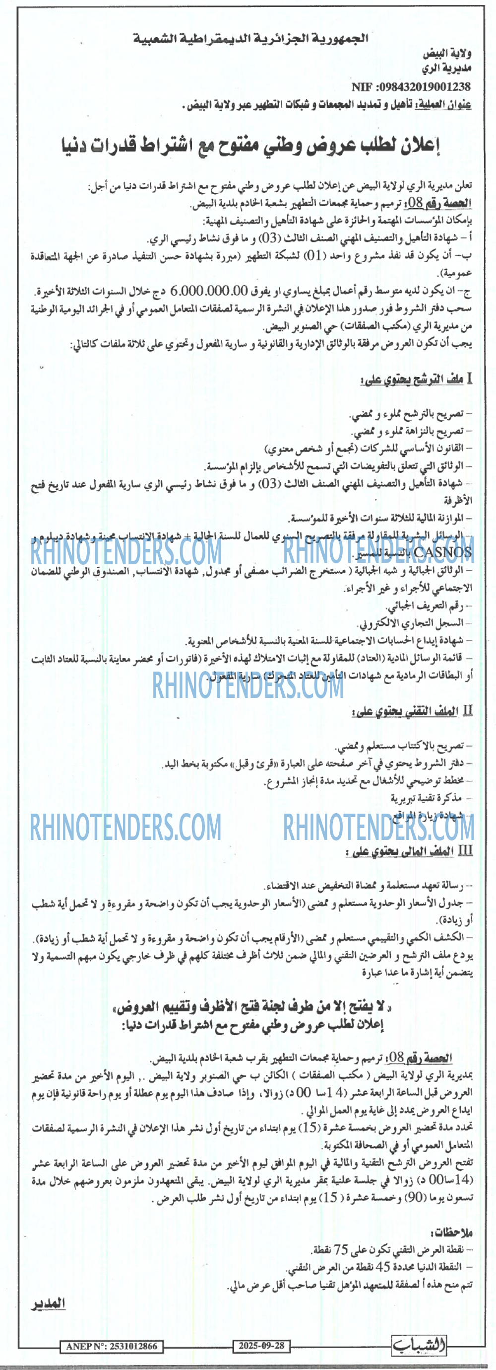 الشباب الجديد