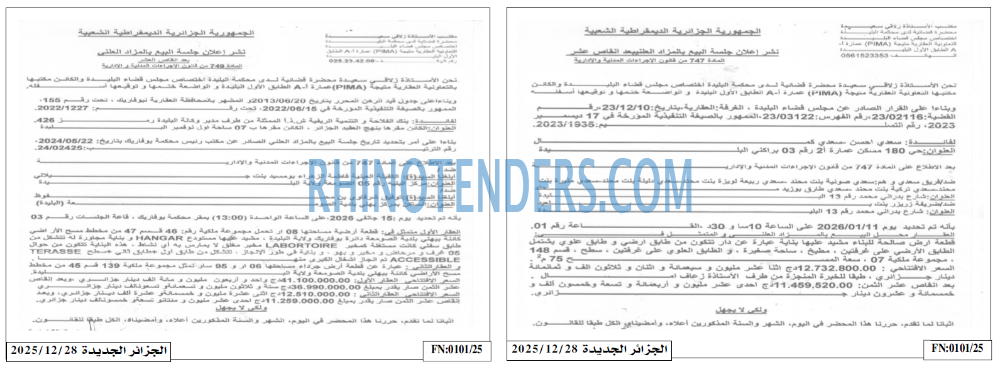 الجزائر الجديدة