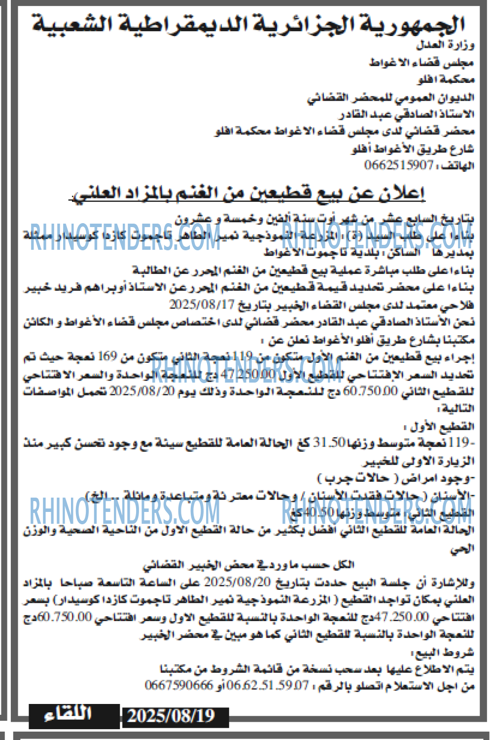 اللقاء