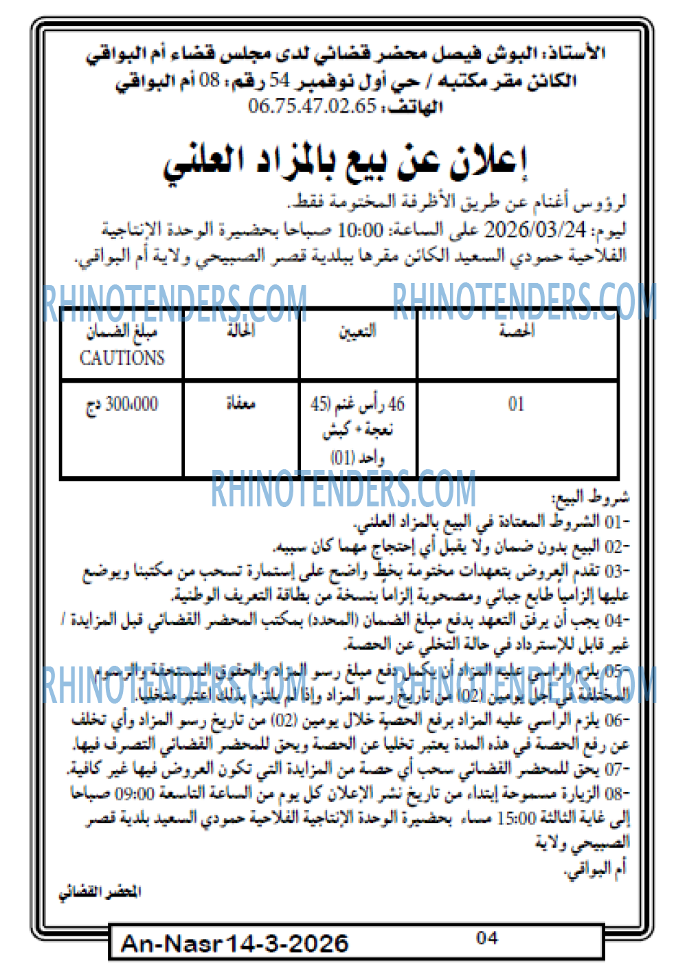 AN-NASR