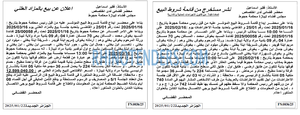 الجزائر الجديدة