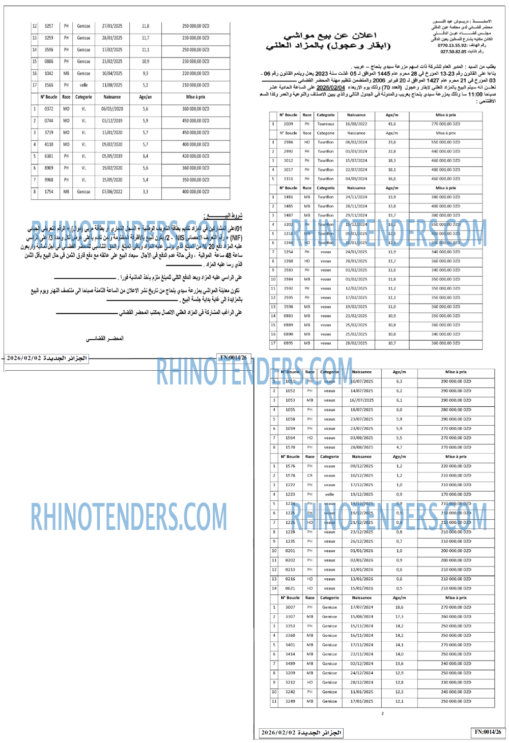 الجزائر الجديدة