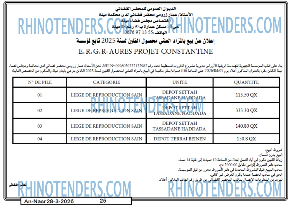 AN-NASR