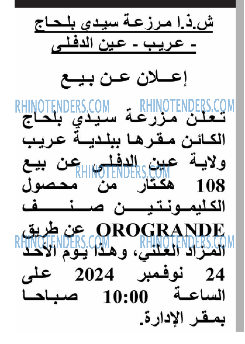 Echourouk