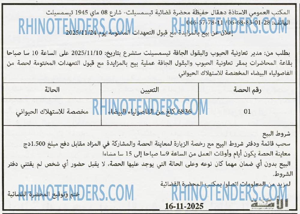 الامة