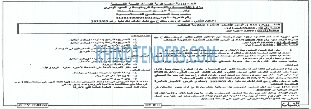 الشباب الجديد