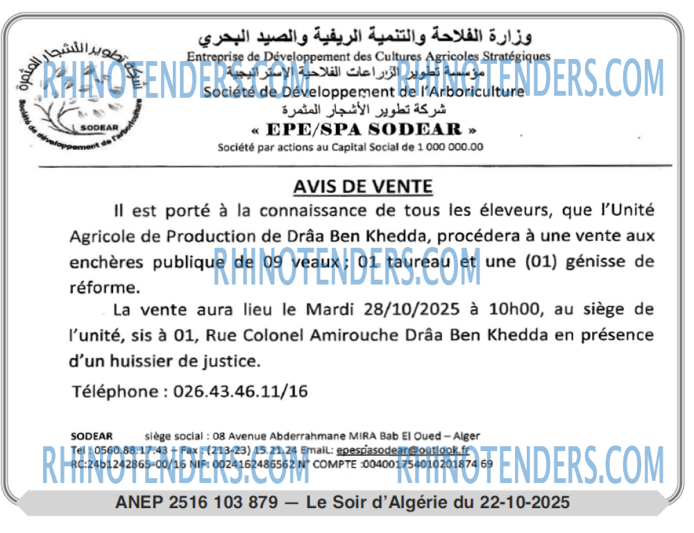 LE SOIR D'ALGERIE