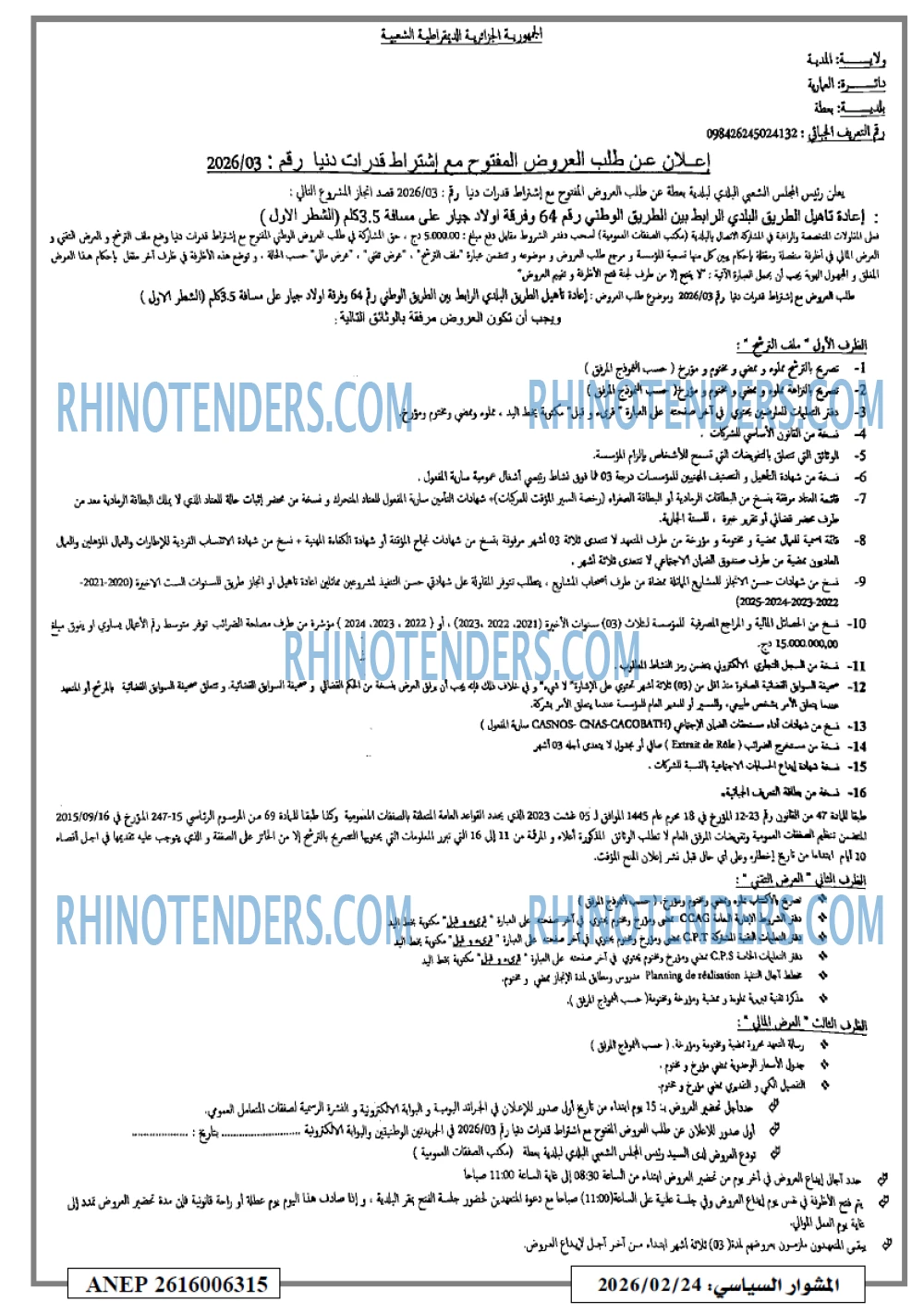المشوار السياسي