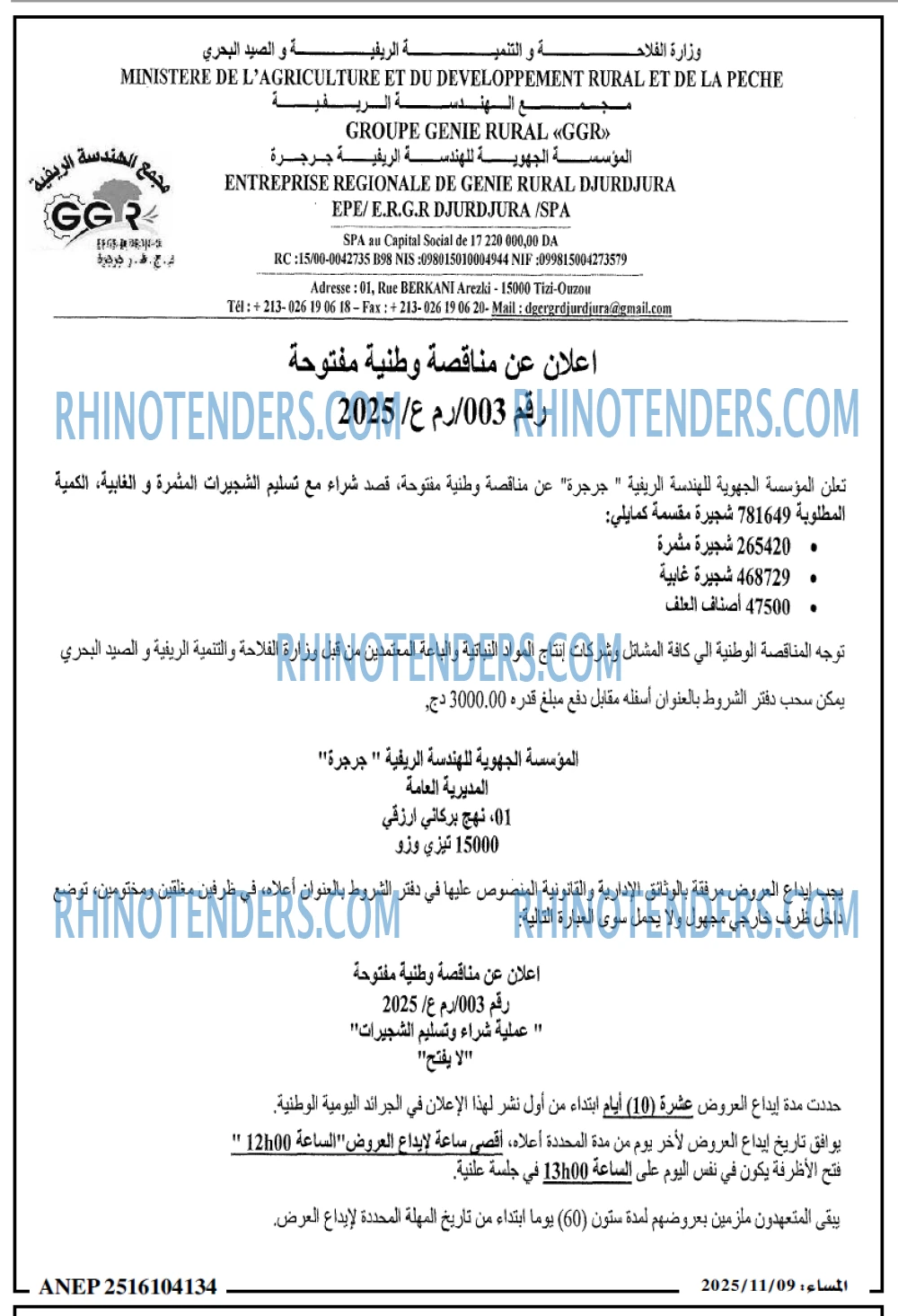 المساء