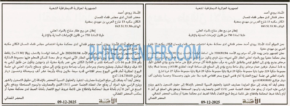 الأمة