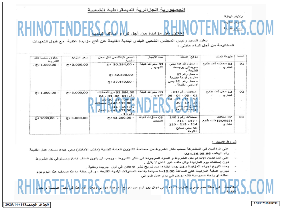 الجزائر الجديدة