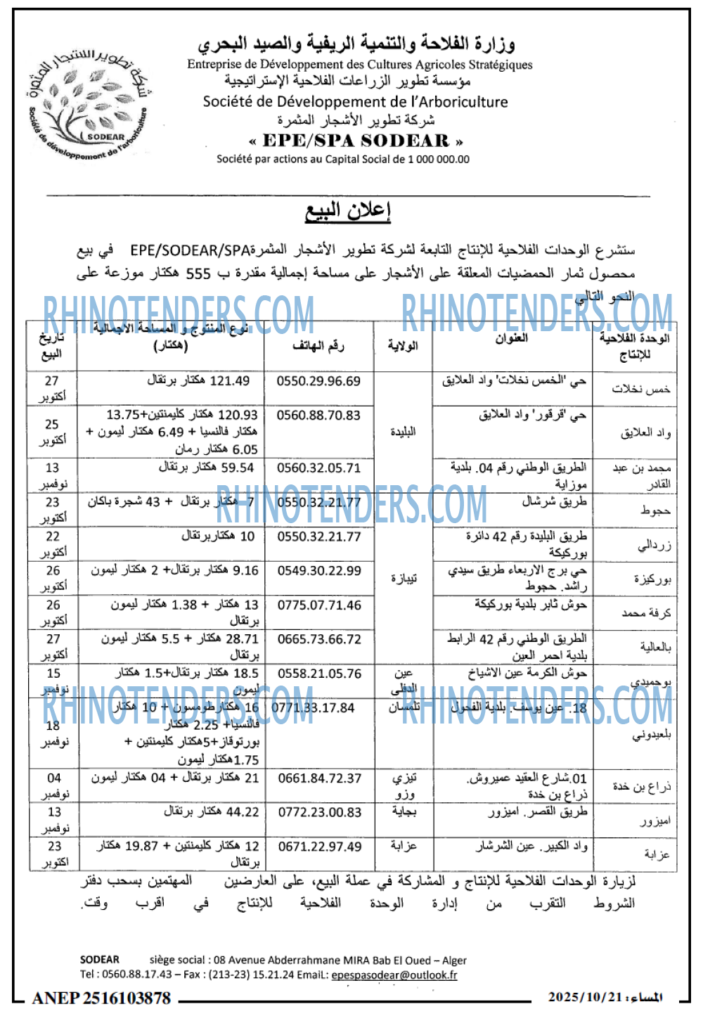 المساء