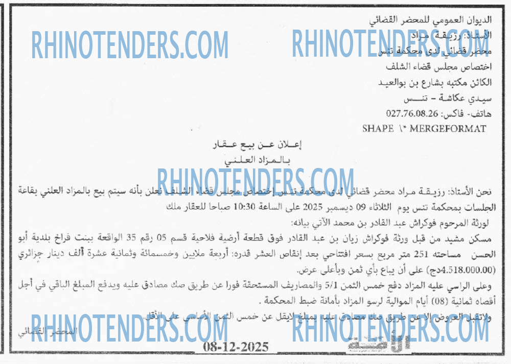 الأمة