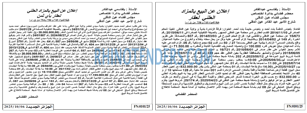 الجزائر الجديدة