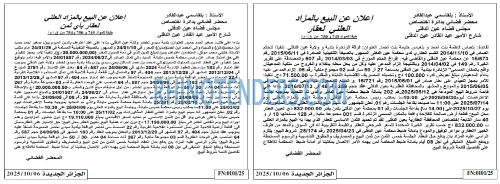 الجزائر الجديدة