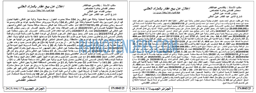 الجزائر الجديدة